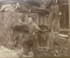 Antique GEORGE W KIRK Stimson Mill MASSIVE Cedar TREE Everett Washington PHOTO