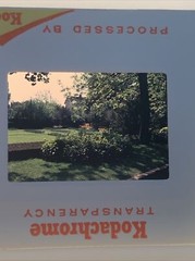 Kodachrome Lot Of 9 1970’s Landscapes, Family Amateur 35mm Color Slides