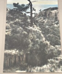 Lg VTG J.M. Garrison Hand Tinted Oil Color Photo Torrey Pines 12.5”x23.5” VGC
