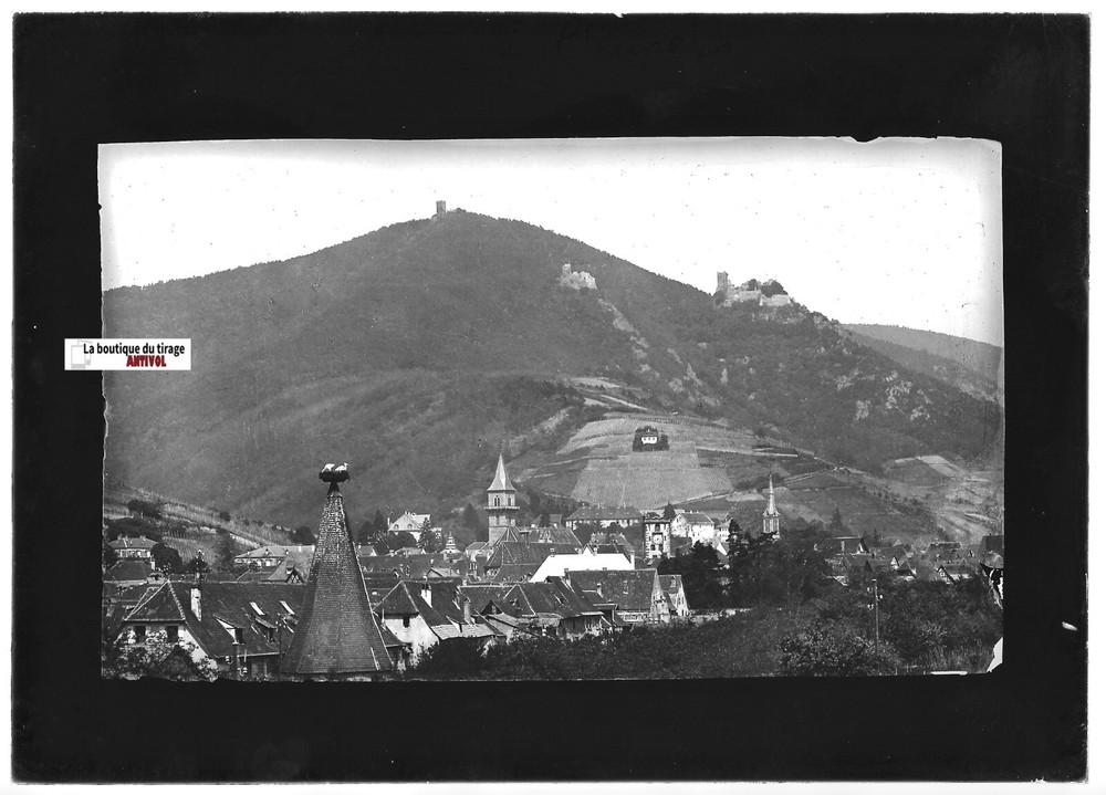 Antique Glass Plate Positive Black & White 13X18 Cm Ribeauvillé Stork France