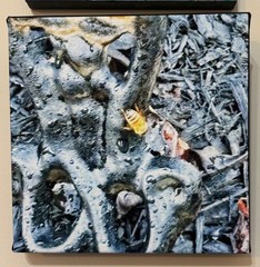Abstract, Original Photograph on Canvas, Arts