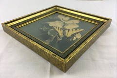 VTG 70’s Dogwood & Swallowtail Butterfly Photo in Green Gold Picture Frame 7.5″
