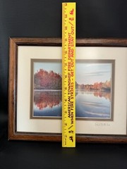 Signed Photo Framed Wall Art Fall Trees, Lake Country Photo Art
