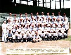 1951 St Louis Browns 8×10 Colorized Print-FREE SHIPPING