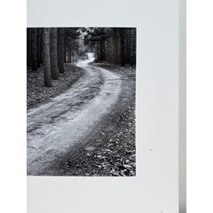 Black and White Winding Forest Path Landscape Photo Matted Art Print
