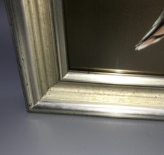 Hummingbird Framed Photograph Flight Feeding Flower, Silver Gold Frame 12×10