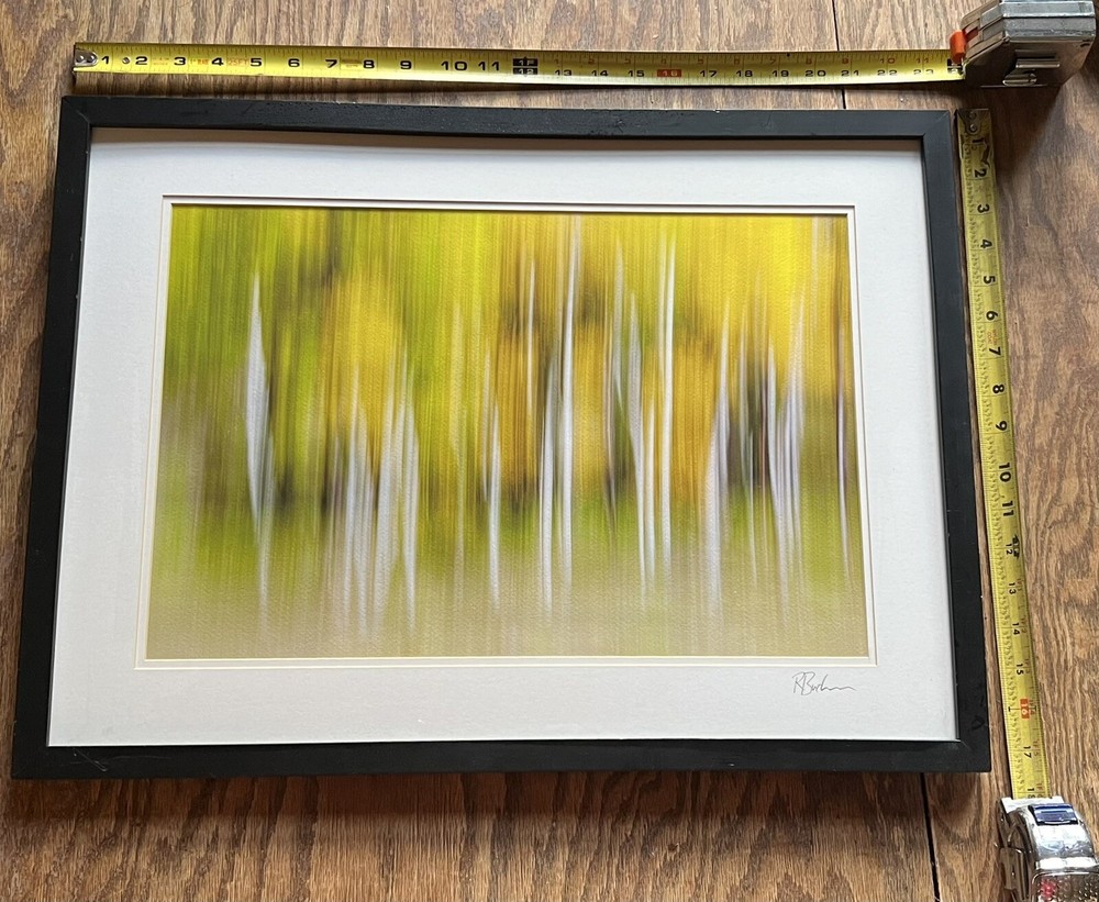 Large Framed Signed Rick Buchanan Photograph Print – Aspen Abstract Colorado