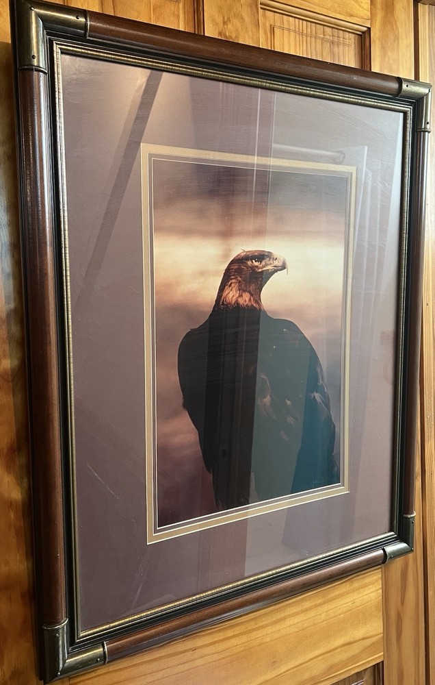 Wildlife, Heritage, The Sea – Photography By John Eveland (Pittsburgh) Americana