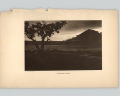 Wanamaker/Dixon “A Navajo Sunset” 1913 Photogravure from “The Vanishing Race”