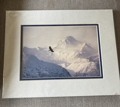 Matted Orginal Fine Art Photo by Jim Stamates “Freedom” Eagle 14”X11” Paperwork
