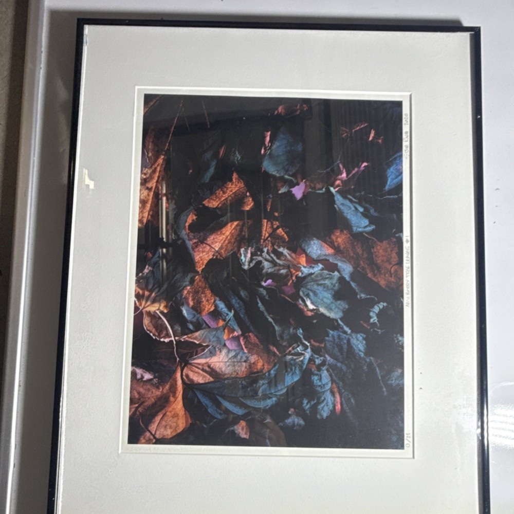 Steve Buck ‘Mulberry Tree Leaves #1’ Signed Framed Color Photograph 2020