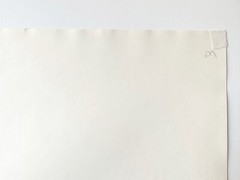 WALTER SILVER GELATIN SILVER PRINT UNDER SNOW 1974 SIGNED DATED