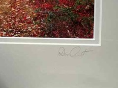 Pair of Framed Original Photographs by Don Ament Hand Signed