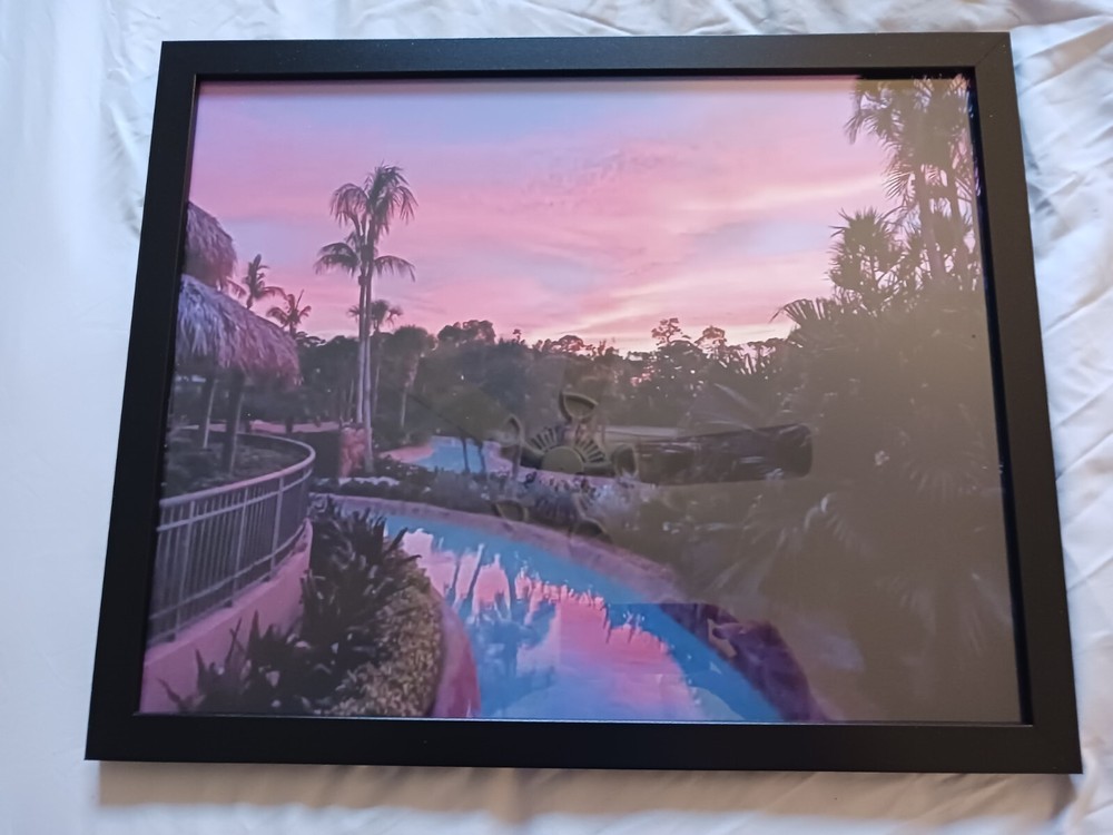pictures for wall Bonita Springs FL