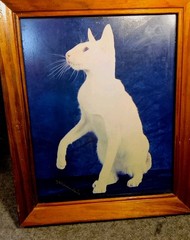 White Cat On Blue Black Background Manipulated Photograph? Original Signed Art.