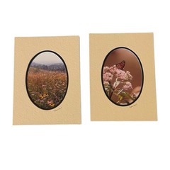 Barry Gamow signed Wild Flowers & Butterfly Nature Photography Art 5″ x 7″ Mated