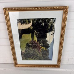 Vintage Framed Garden Landscape Photo Print Gold Ornate Frame 12″ x 15″