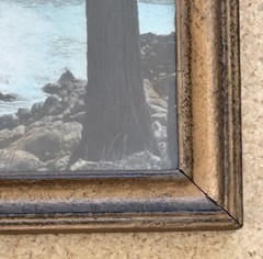 Lg Vtg Hand Tinted Oil Colored Photo Coastal Cypress Trees 12.75”x15.75” VG