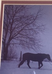 Signed Limited Edition Amish Country Life Photograph Print by Dick Brown 10/100