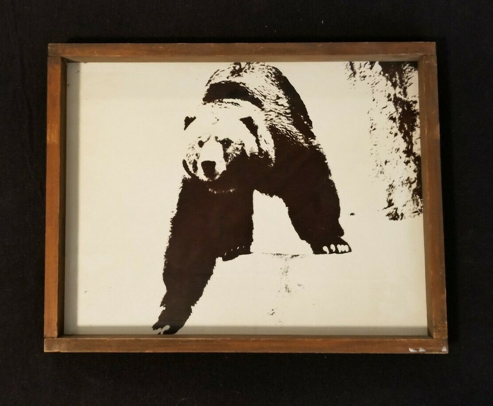 “Grizzled” Treated Photograph on Cardboard in Wooden Frame: from 1981
