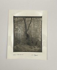 Jim Fitzgerald 10/2008 A Sole Survivor Signed Photograph Carbon Transfer