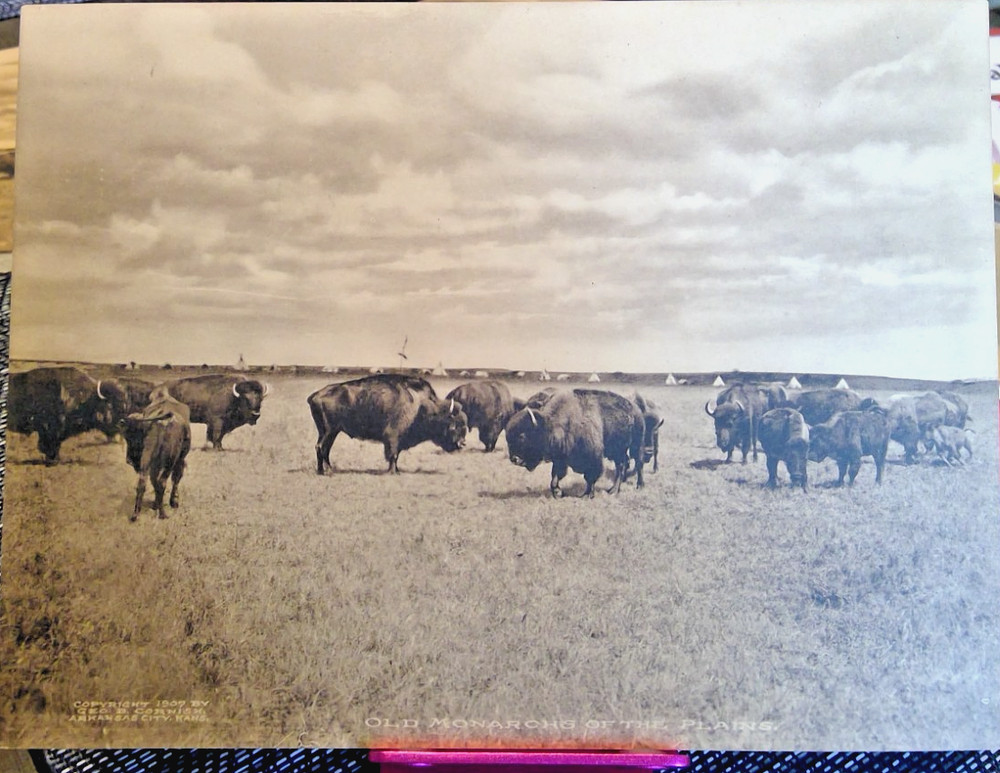 George B. Cornish – Western Photographer Vintage OLD MONARCHS OF THE PLAINS 1907