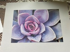 Art Photos on Card Stock. 8×10 ready to frame. Lot of 8 pieces, various themes.