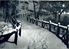 Pictorial Artistry (Adolf Fassbender) Signed & Numbered First Edition 40 photos