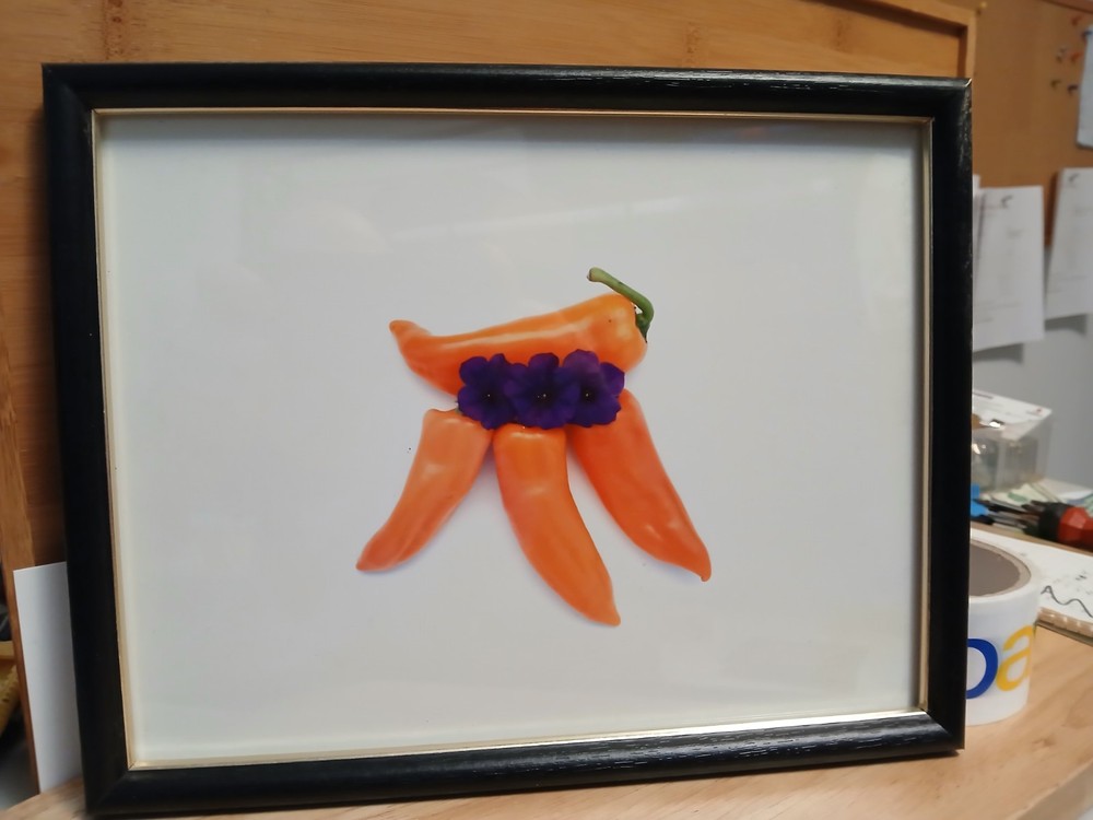 black framed photo art 12 x 9 inches 4 orange peppers with 3 purple flowers