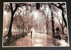 Lot Of 4 Matted Photo Prints Of NYC New York City Central Park – 8×10