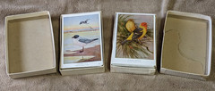 Audubon Society Bird (Post) Cards Eastern and Western Birds 100 cards 1950’s