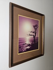 ART – VTG Original Signed Karl Bonfert 35mm Photograph CA 21.25×17.25 Framed Art