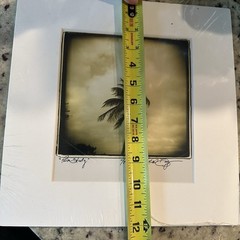 Limited edition sepia photographic print titled Palm Study by Michael Bryant