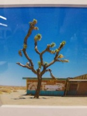 Nicholas Fedak II Framed Archival Pigment Print “Roadhouse” 13″x15″
