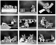 Anthropomorphic Dressed Up Cats Kittens In Human Situations Set Of 22 Photos