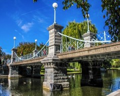 8×10 photo of a beautiful fall day at the Boston Public Gardens, Boston, MA.