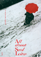 All About Saul Leiter Photo Photography Art Book English Japanese 2017 Paperback