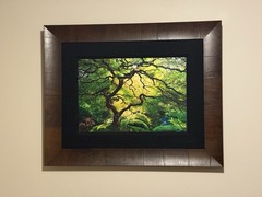 Peter Lik Inner Peace 794/950