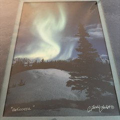 Onlooker Todd Salat Alaska Aurora Borealis Landscape Signed Photograph Color
