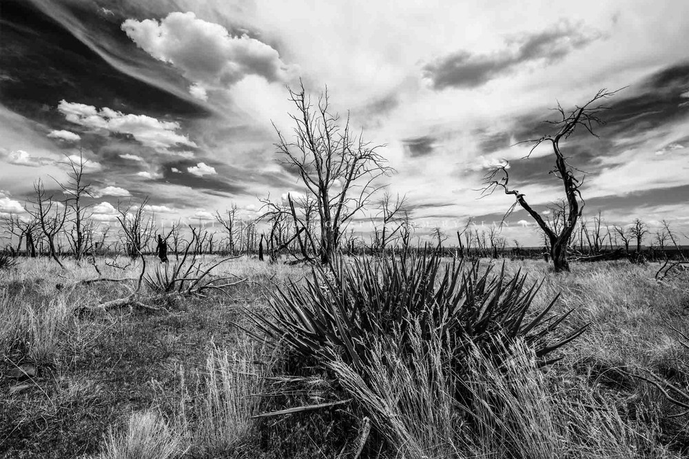 Southwest Photography Print – Mesa Verde Colorado Landscape Black and White