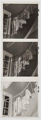 Bunny Yeager Estate Vintage Original Negative Strip of Jennie Lee w/ Copyright