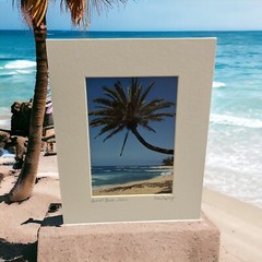 Sunset Beach Oahu Honolulu Hawaii Photographed & Signed By Toni Duprey Palm Tree