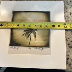 Limited edition sepia photographic print titled Palm Study by Michael Bryant