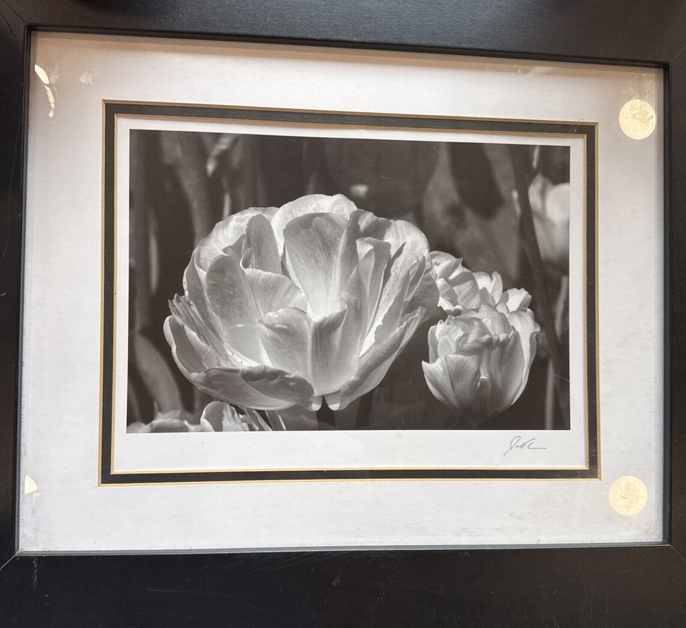 Jesse Kalisher Signed “The Butchart Gardens” Tulip Photo Framed