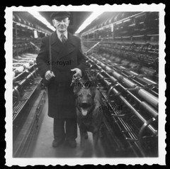 Man with German Shepherd in Large Plant – Machine Technology – Photo 6x6cm