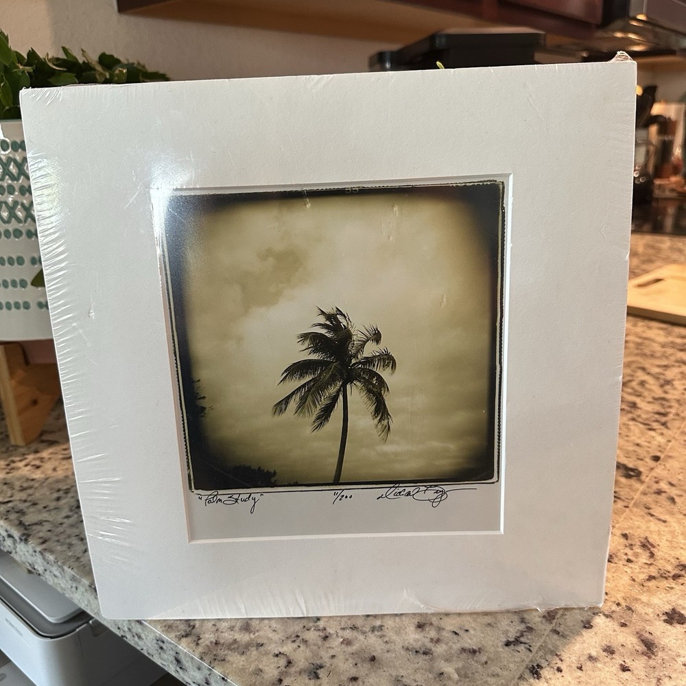 Limited edition sepia photographic print titled Palm Study by Michael Bryant