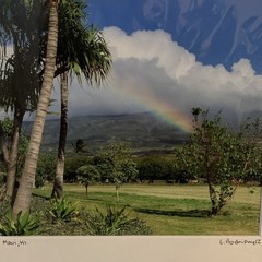 Signed Matted Maui Landscape Photograph Print Showing Rainbow Palm Tree Hawaii