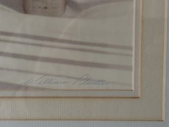 HUGE Signed Sepia Photograph 42″ x 32″ – Birch Trees in Snow by William Plante