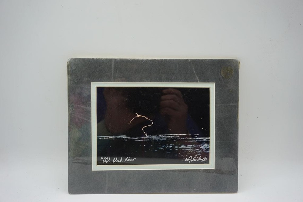 Cold Black River Brown Bear Katmai Alaska Photograph w/ Matte 8″x10″ Signed
