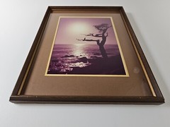 ART – VTG Original Signed Karl Bonfert 35mm Photograph CA 21.25×17.25 Framed Art